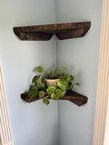 Dark walnut corner shelves set of 2 styled with a plant