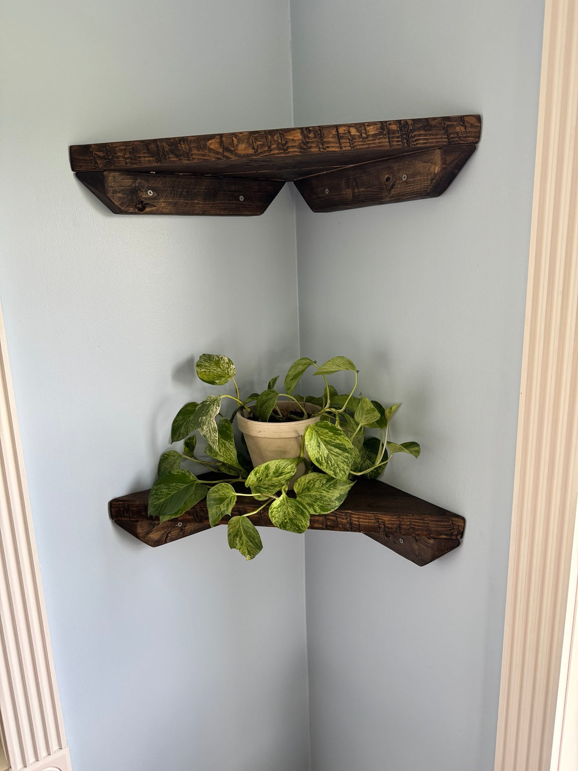 Dark walnut corner shelves set of 2 styled with a plant