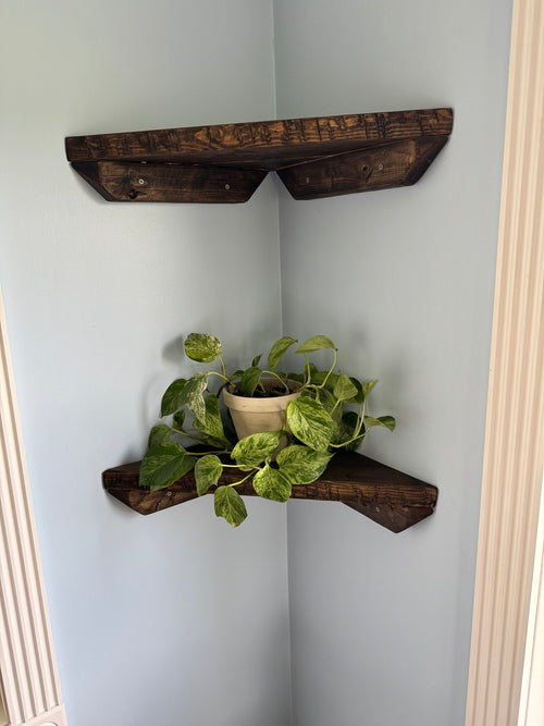 Dark walnut corner shelves set of 2 styled with a plant
