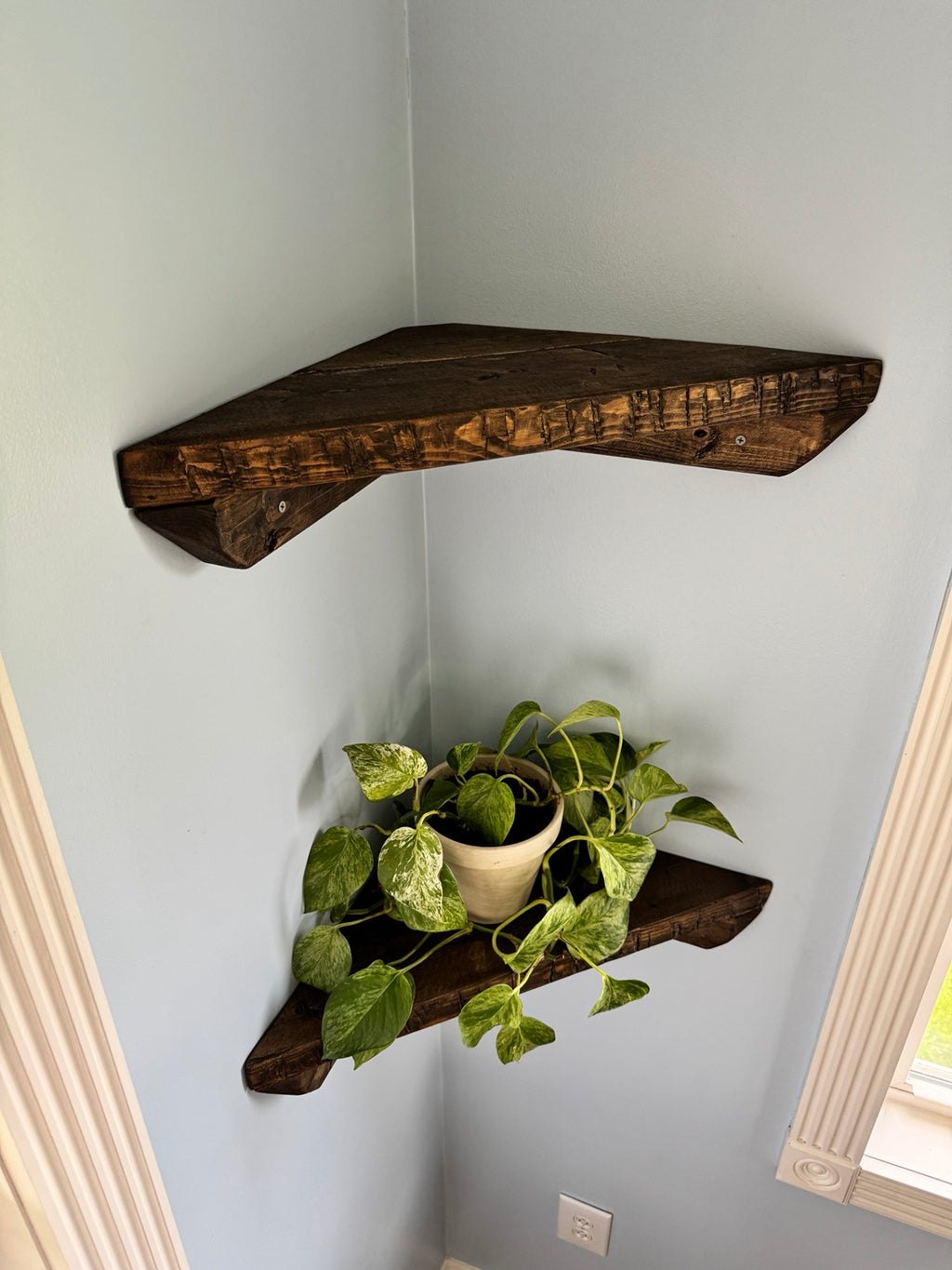Dark walnut corner shelves angled view