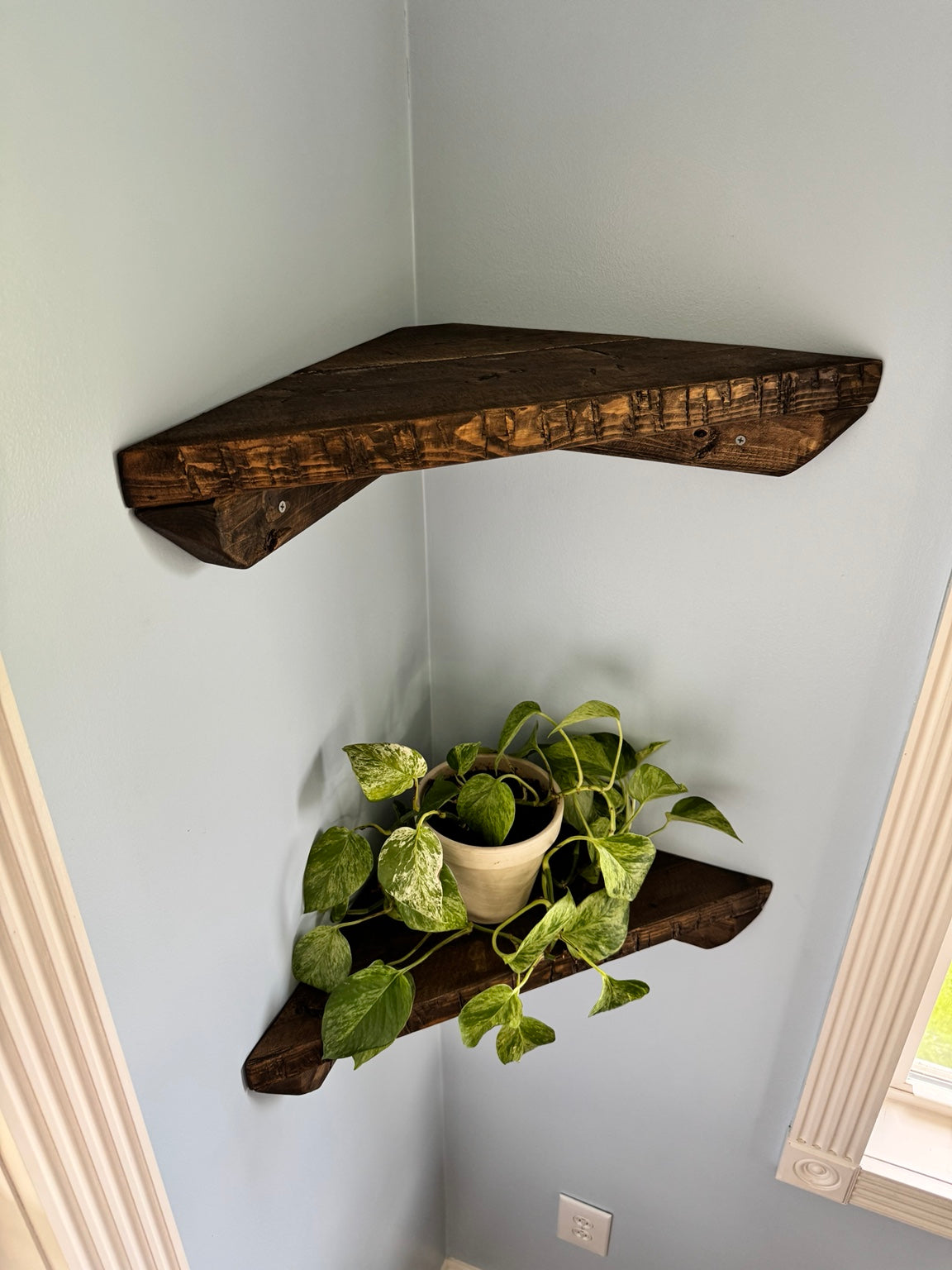 Dark walnut corner shelves angled view